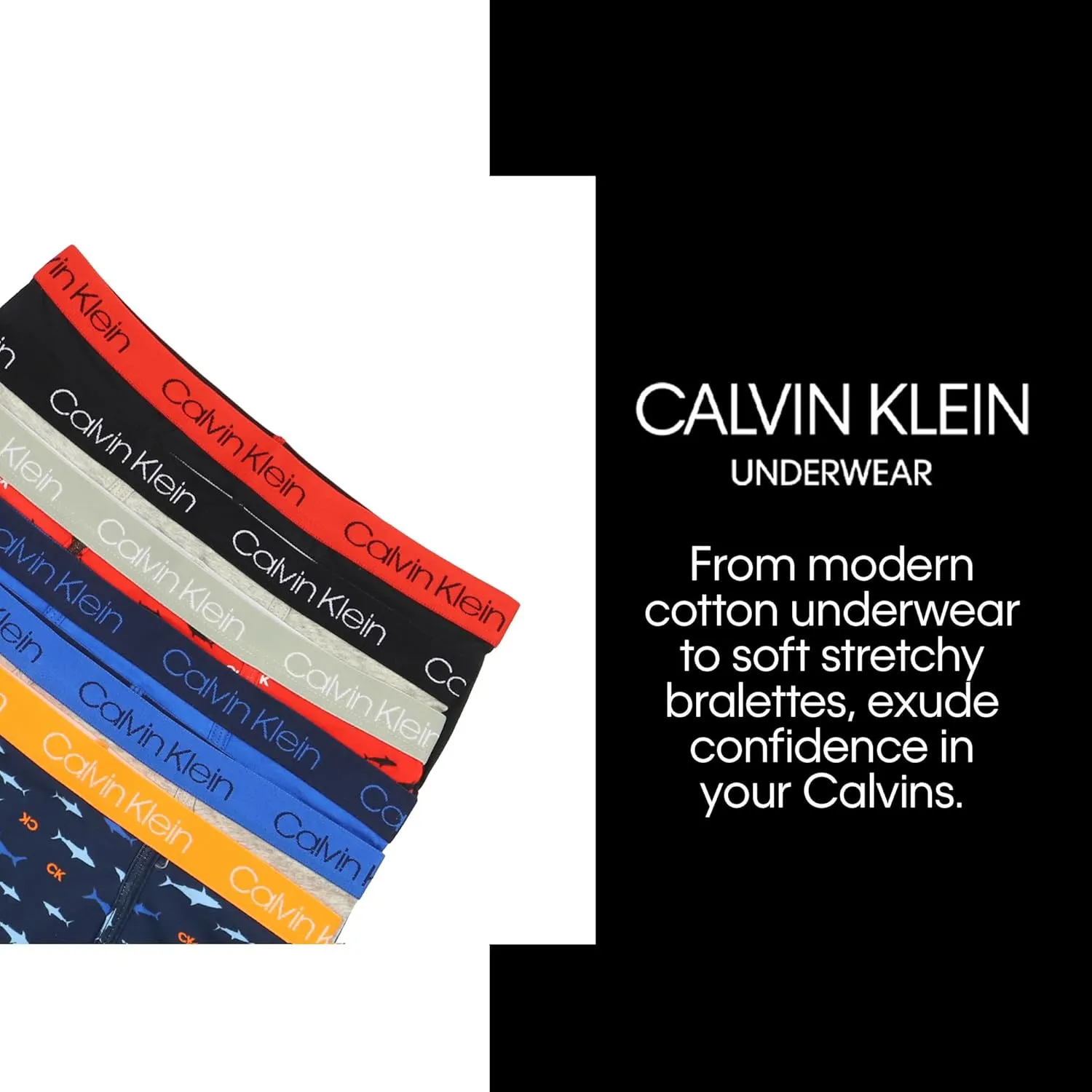 Calvin Klein Boys' Little Modern Cotton Assorted Briefs Underwear 3 Pack